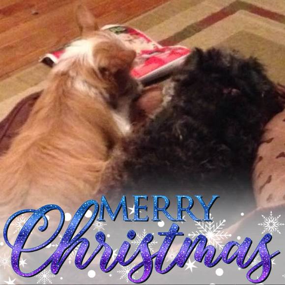 Meet your Posher, Melissa - Picture 1 of 1